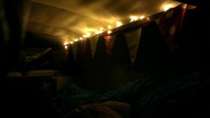 459550_10151357808785216_2041104176_o