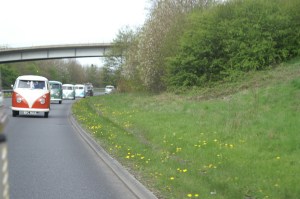 KONICA MINOLTA DIGITAL CAMERA