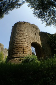 KONICA MINOLTA DIGITAL CAMERA