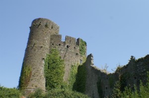 KONICA MINOLTA DIGITAL CAMERA