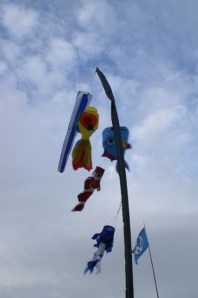 windsocks fish field of dreams