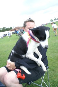 dizzi dog collie cuddle vicki field of dreams