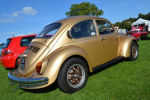 dubs in't dales beetle gold resto