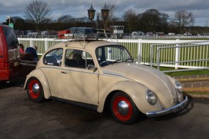 dubfreeze beetle vw