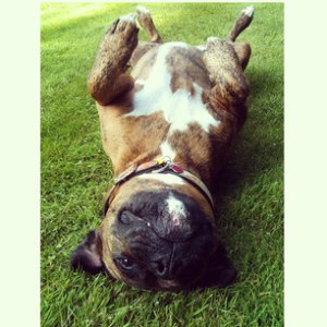 9e43a45ee66e11e2884a22000a9f1588_6