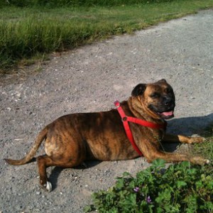 ec6f6bbedd6711e2a4da22000a1f9253_6