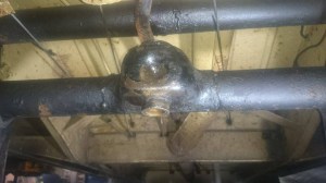 11198520_851631014904253_1710821931_n