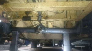 11208965_851631024904252_1179729901_n